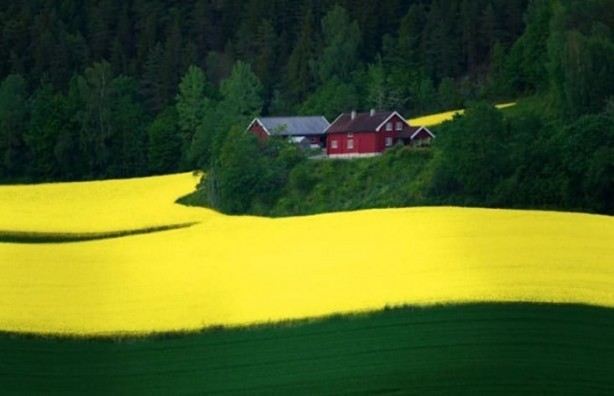 Foto - Mutlaka görmelisiniz!