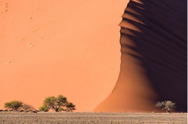 Foto - Mutlaka görmelisiniz!