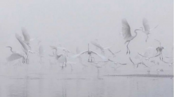 Foto - Mutlaka görmelisiniz!