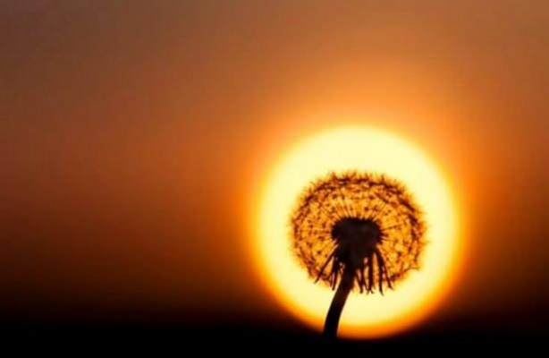 Foto - Mutlaka görmelisiniz!