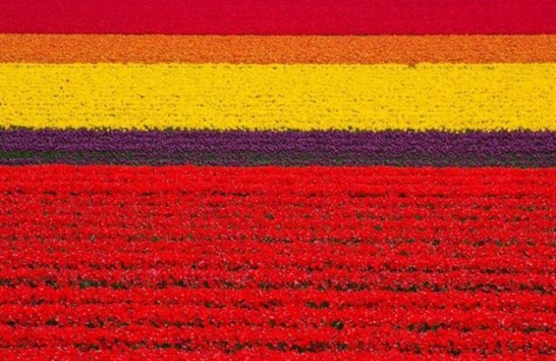 Foto - Mutlaka görmeniz gereken 25 doğa harikası