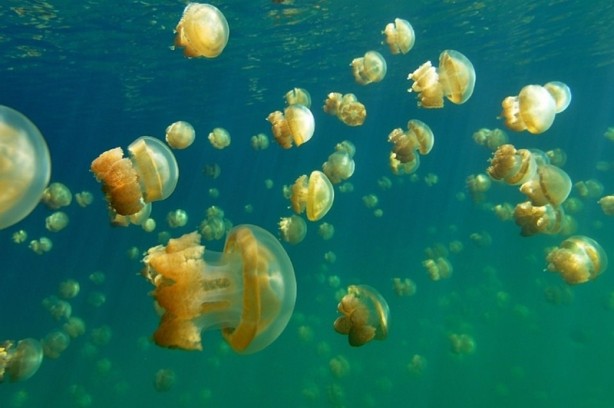 Foto - Mutlaka görmeniz gereken muhteşem yerler