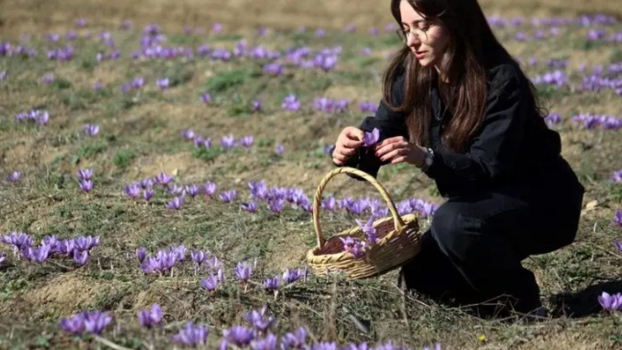 Foto - Mutluluğun formülü o ilde! Turistler akın akın geliyor!