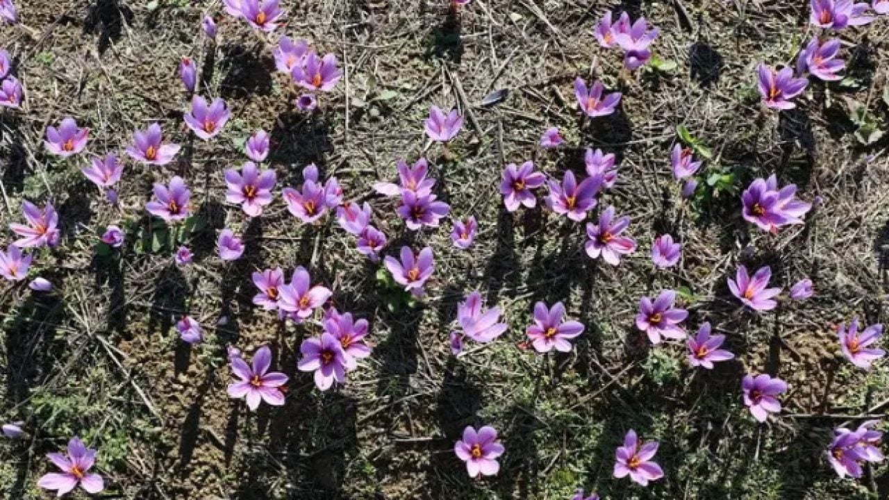 Foto - Mutluluğun formülü o ilde! Turistler akın akın geliyor!