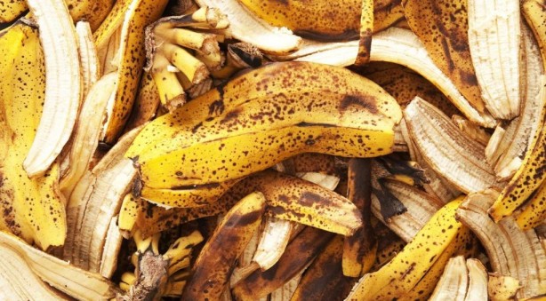 Foto - Muz kabuğunu bundan sonra çöpe atan aklından şüphe etsin! Öyle bir özelliği keşfedildi ki...