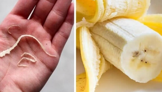 Foto - Muz liflerindeki mucize: Alternatif olarak çok iyi çünkü! Ziyan etmemeliyiz, seçimi yapmayan kaybeder!