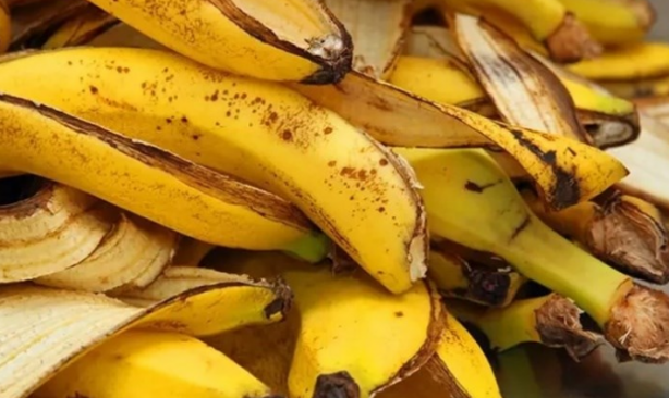 Foto - Muz liflerindeki mucize: Alternatif olarak çok iyi çünkü! Ziyan etmemeliyiz, seçimi yapmayan kaybeder!