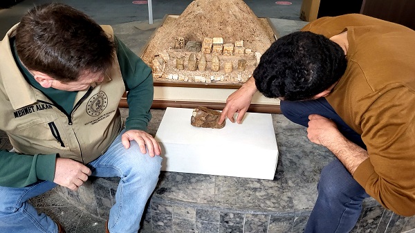 Foto - Tesadüfen bulundu! Adıyaman'da bulundu tam 15 milyon yıllık