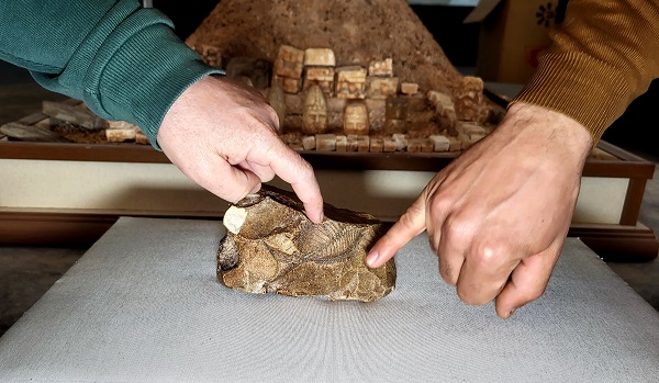 Foto - Tesadüfen bulundu! Adıyaman'da bulundu tam 15 milyon yıllık