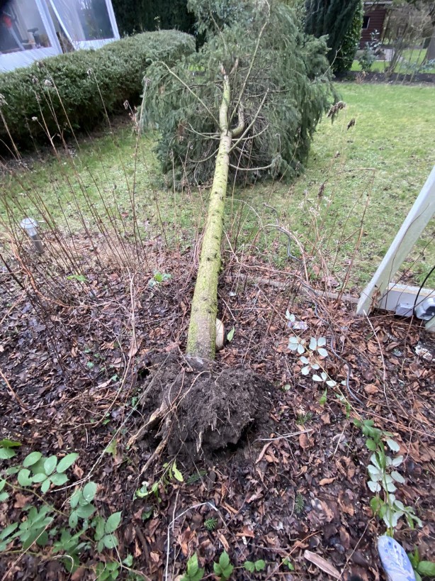 Foto - 'Nadia' fırtınası Almanya'yı kasıp kavurdu! Seferler iptal edildi