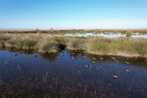 Foto - Nadir görülen canlılara ev sahipliği yapıyor! Serengeti değil Türkiye