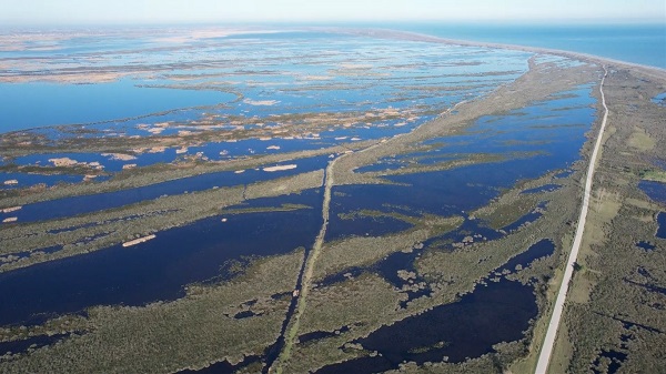 Foto - Nadir görülen canlılara ev sahipliği yapıyor! Serengeti değil Türkiye