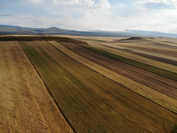 Foto - Nakış nakış sonbahar güzelliği