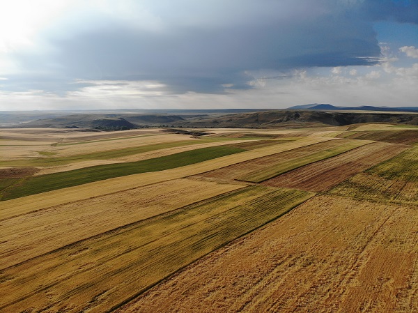 Foto - Nakış nakış sonbahar güzelliği