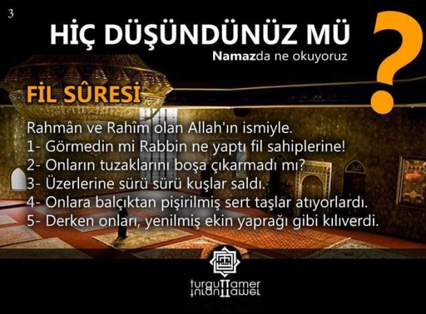 Foto - Namazda ne okuyoruz, hiç düşündünüz mü?