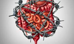 Foto - Nane! Su ile yapılınca öyle bir faydaları var ki! Tamamen doğal: gaz, karın şişkinliği... Etkisine herkes şaşıracak!