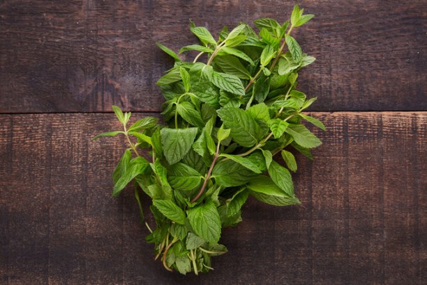 Foto - Naneye limon sıkıp yemenin muhteşem etkisi