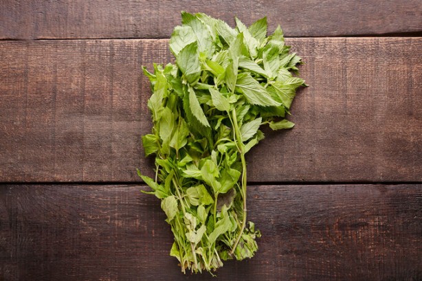 Foto - Naneye limon sıkıp yemenin muhteşem etkisi