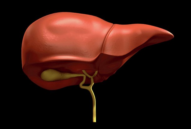 Foto - Naneyi böyle yerseniz anında kesiyor!