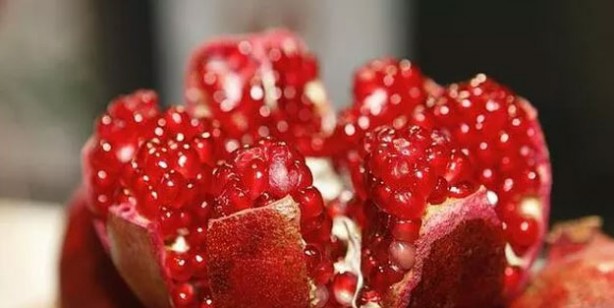 Foto - Nara tuz döküp yerseniz...! İnanılmaz etki