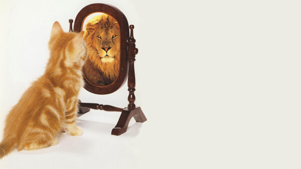 Foto - Narsist adayı olabileceğinizi gösteren 10 işaret konusu ele alındı... Bakın hangi şartlar, koşullar var!