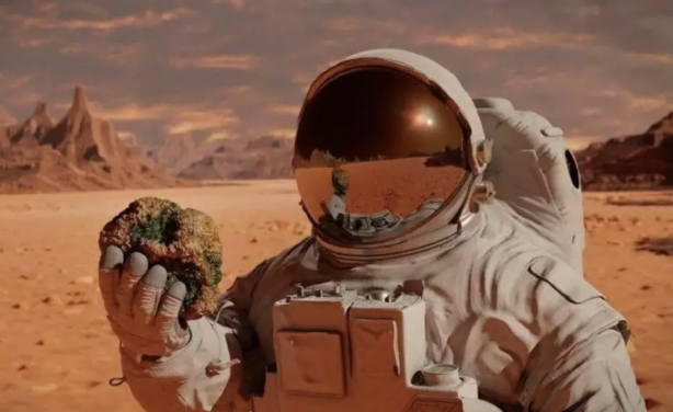 Foto - NASA Mars’ta yaşayacak kişiler arıyor! Kriterler belirlendi… 160 metrekarelik yaşam alanı!