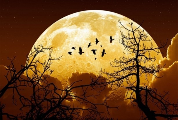 NASA tarih verdi! Büyük gün 14 Kasım