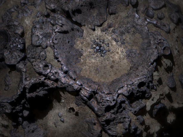 Foto - NASA’dan 10 kentilyon dolarlık asteroit için karar