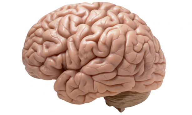 Foto - Nasıl odaklanıyoruz?