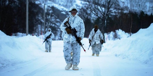 Foto - NATO gövde gösterisi yaptı