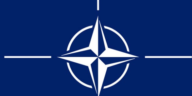 NATO üyeliği nasıl olur? Türkiye izin vermezse Finlandiya ve İsveç NATO’ya üye olabilir mi?