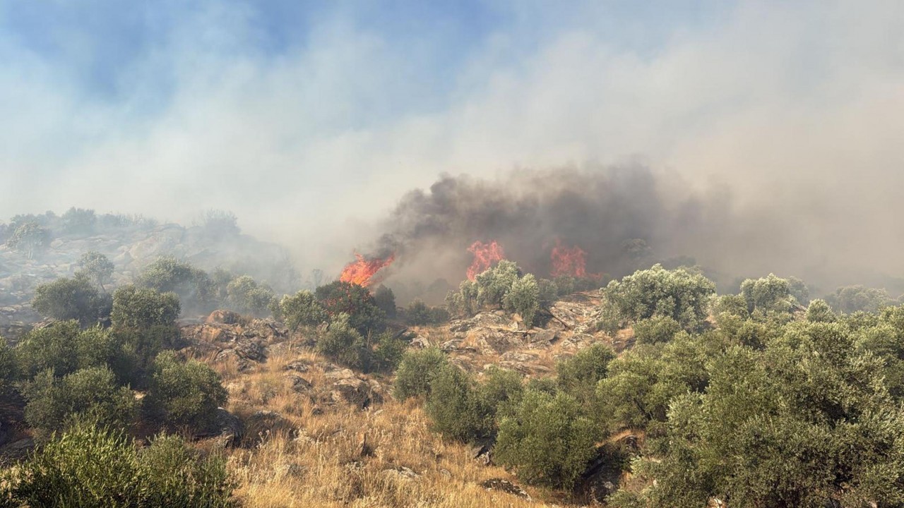 Foto - Nazilli'deki maki yangınına ilişkin o isim gözaltına alındı