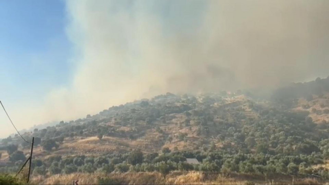 Foto - Nazilli'deki maki yangınına ilişkin o isim gözaltına alındı