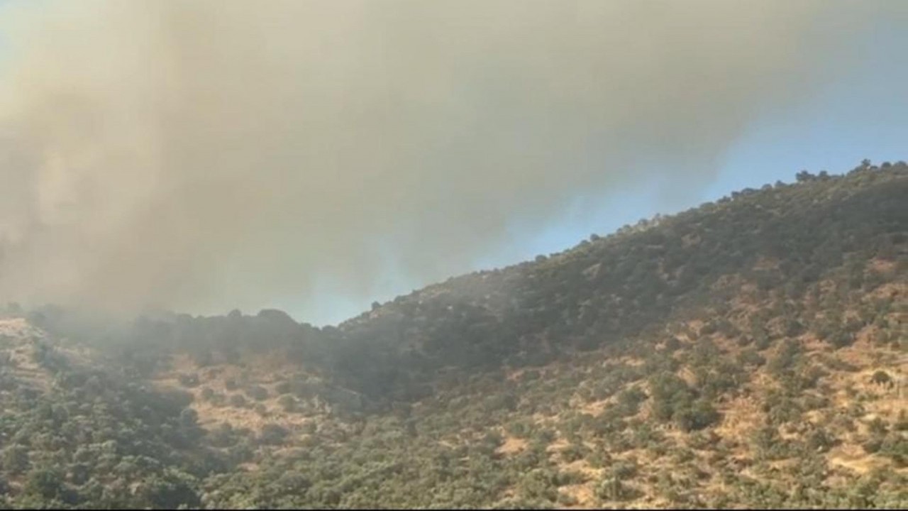 Foto - Nazilli'deki maki yangınına ilişkin o isim gözaltına alındı