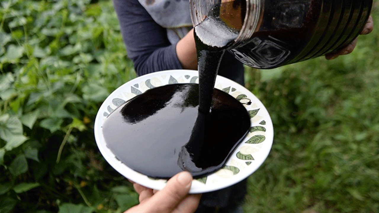 Foto - Ne ağrı ne öksürük: Meğer bir kaşığından bile şifa akıyormuş!