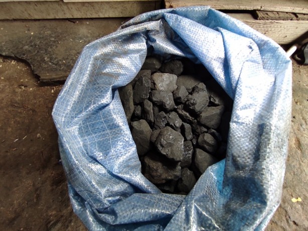 Foto - Ne alan var ne de soran! Bu işi yapanlar şimdi sinek avlıyor