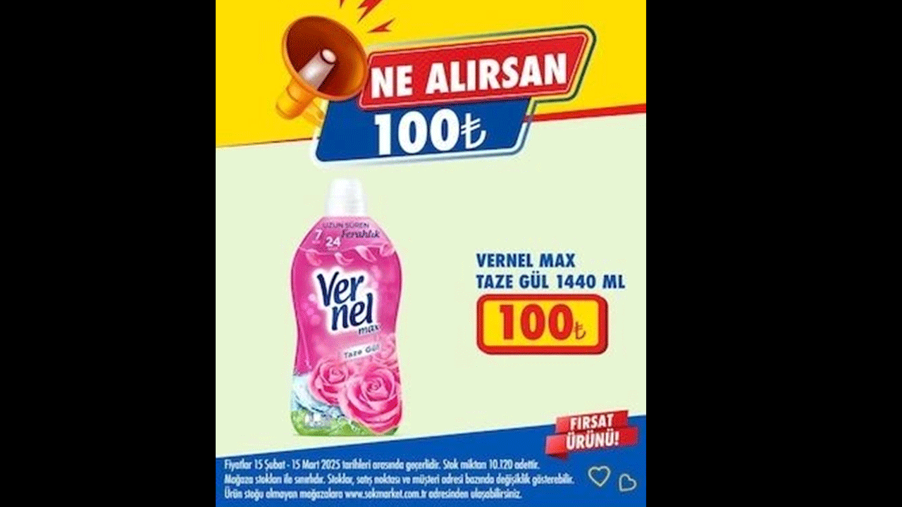 Foto - Ne alırsan 100 lira! ŞOK'tan dev indirim!
