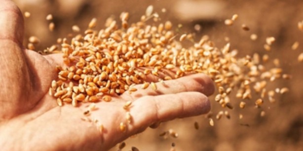 Foto - Ne altın ne dolar ne gümüş! Ramazan Kurtoğlu uyardı: Deprem sonrası paranızı basın