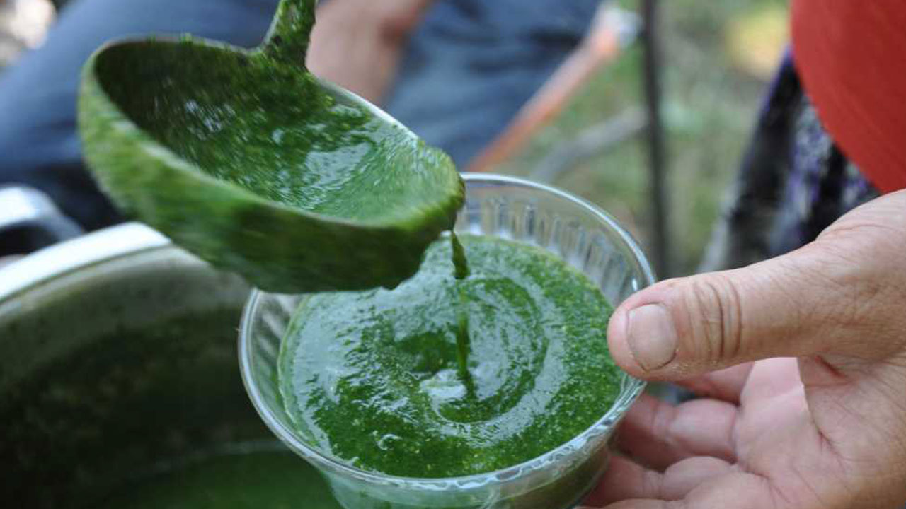 Foto - Ne Antalya ne Bodrum! Tatil için aradığınız her şey bu şehrinde