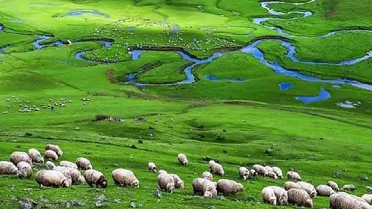 Foto - Ne Antalya ne Bodrum! Tatil için aradığınız her şey bu şehrinde