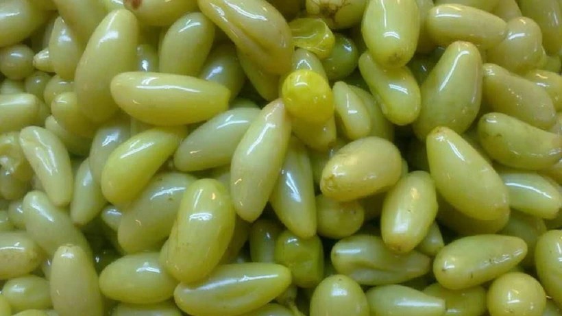 Ne biber ne salatalık turşusu! İlk defa üretildi, yiyen tadına doyamıyor