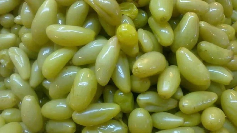 Foto - Ne biber ne salatalık turşusu! İlk defa üretildi, yiyen tadına doyamıyor