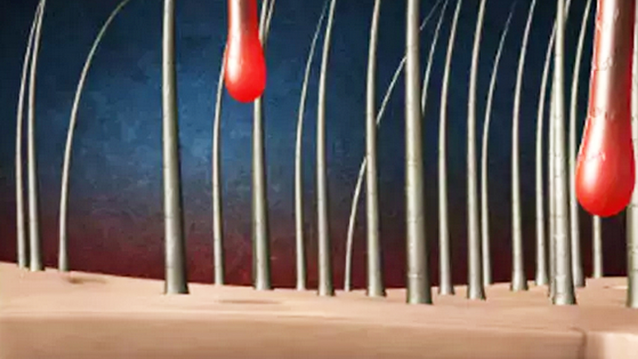 Foto - Ne biberiye ne argan, tel tel dökülen saç dökülmesini durduran tüyo 6 haftada uzatacak