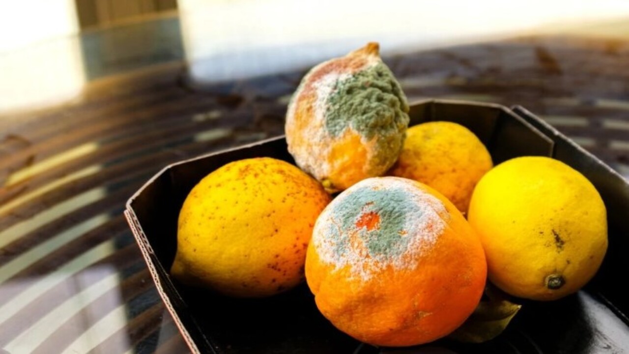 Foto - Ne bozuluyor ne kuruyor! Limonları aylarca taze olarak saklamanın kolay yolu