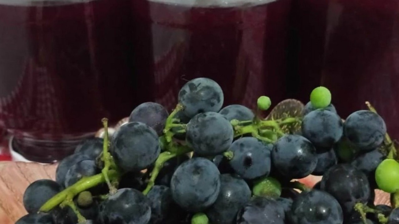 Foto - Ne fındık ne salep! Ünye'nin yeni gözdesi tonlarca satılıyor