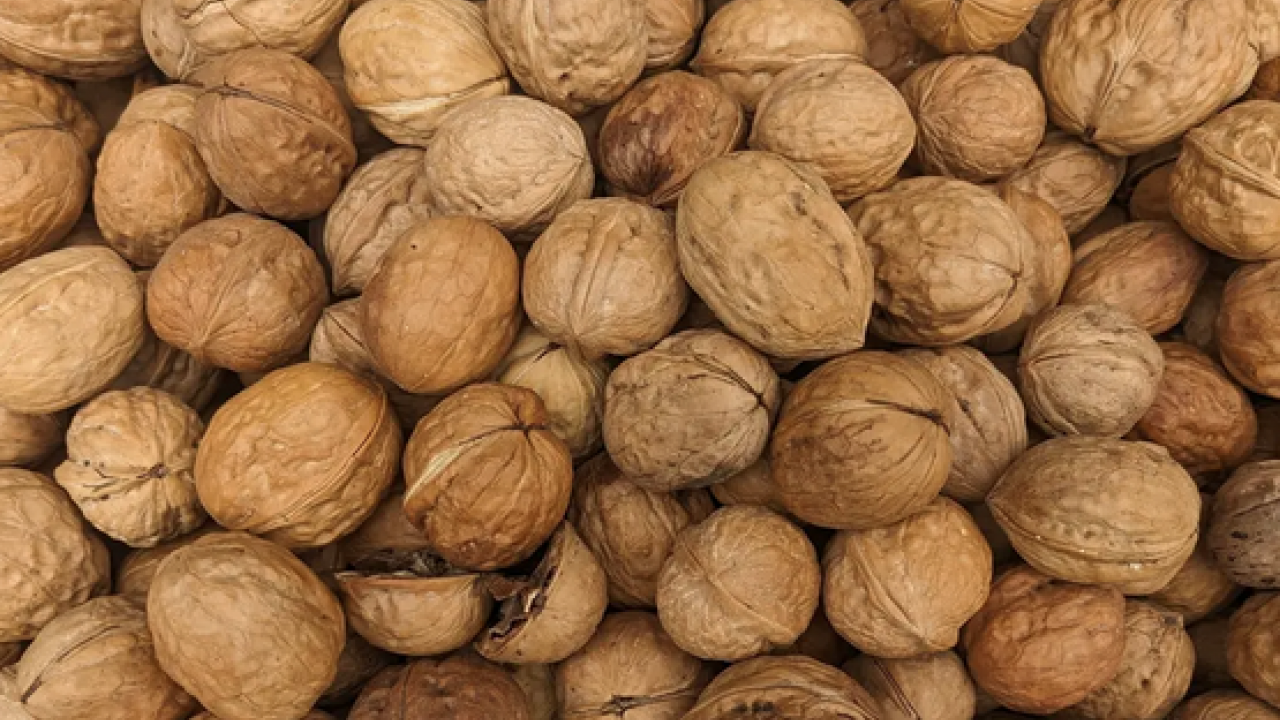 Foto - Ne içi ne kabuğu asıl maharet yaprağındaymış! Tansiyon, kolesterol, şekerin gizli ilacı 
