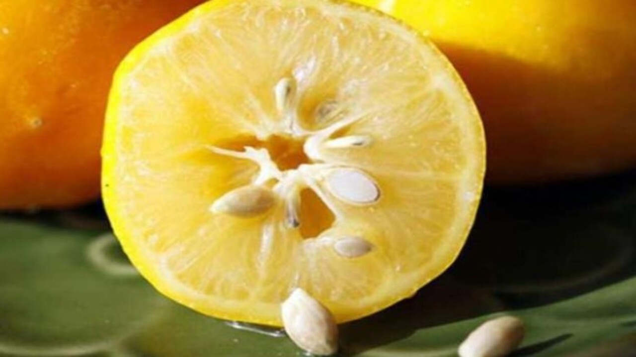 Foto - Ne işe yaradığını öğrenince şaşıracaksınız! Limon çekirdeklerini asla çöpe atmayın