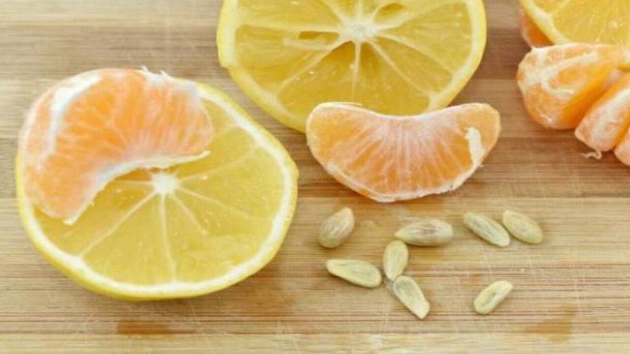 Foto - Ne işe yaradığını öğrenince şaşıracaksınız! Limon çekirdeklerini asla çöpe atmayın