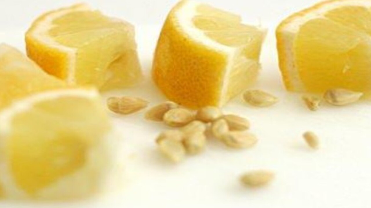 Foto - Ne işe yaradığını öğrenince şaşıracaksınız! Limon çekirdeklerini asla çöpe atmayın