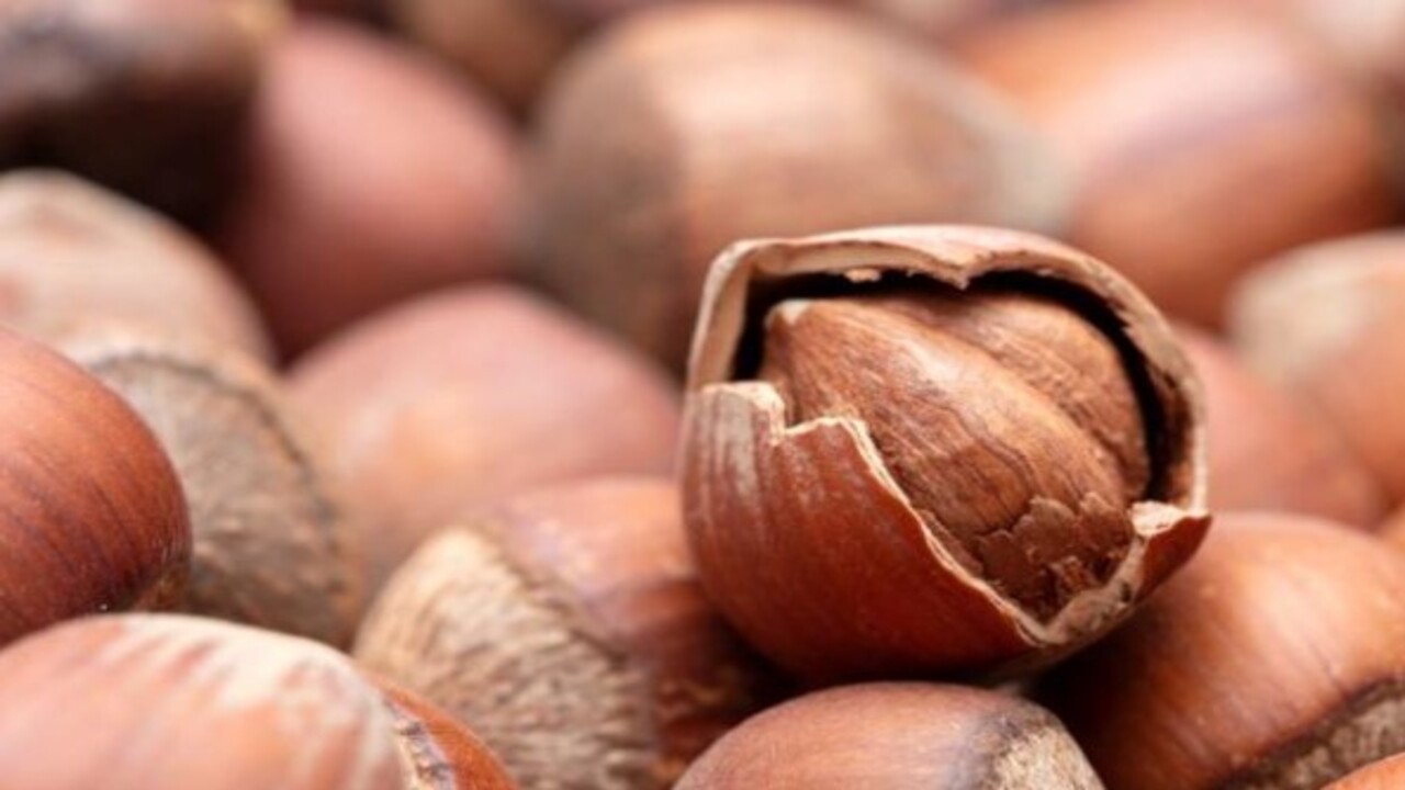 Foto - Ne kadar tüketmek gerekiyor? Magnezyum kaynağının en güçlüsü belli oldu